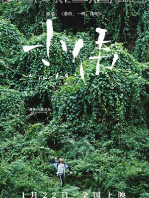趣事连连